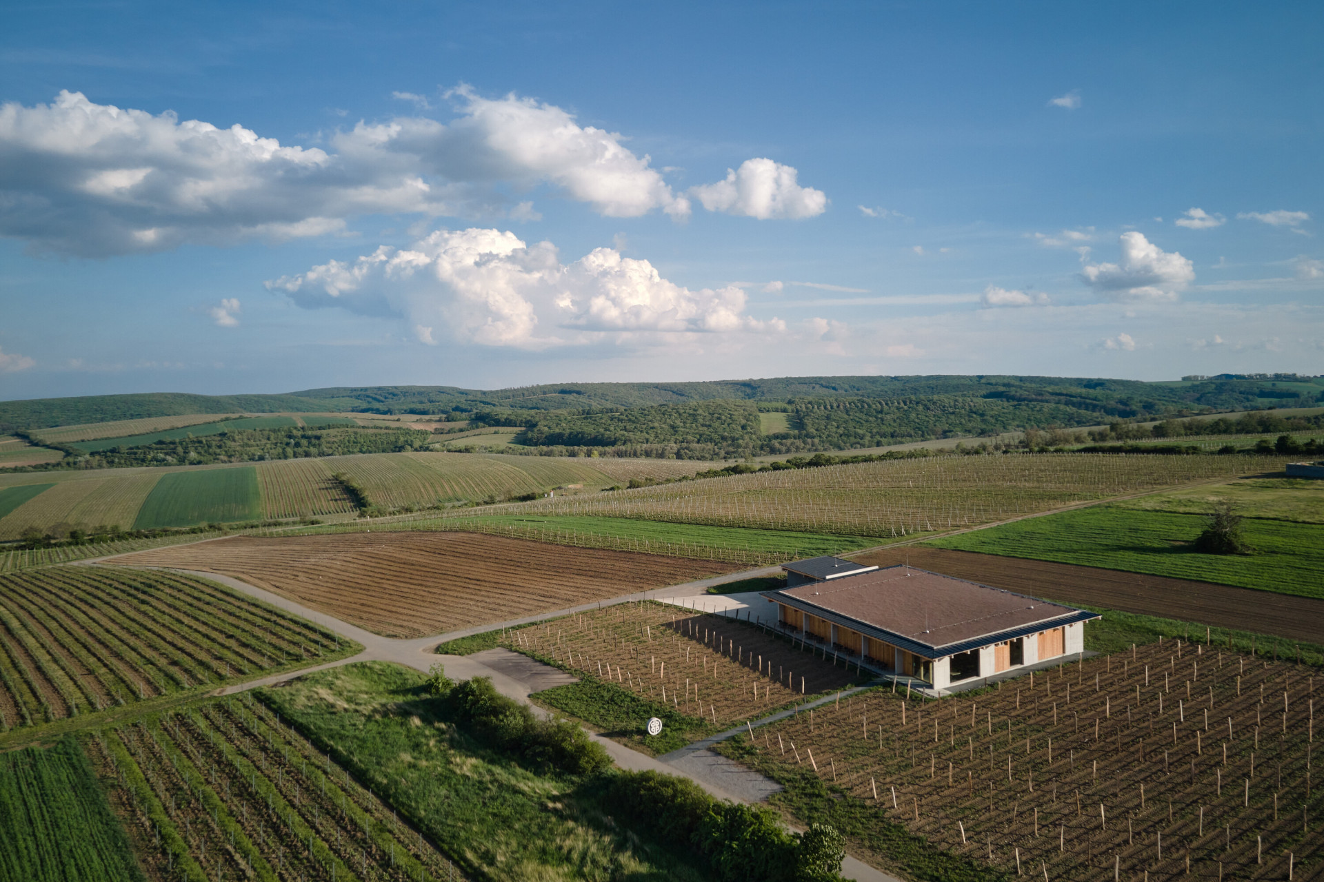 Vinařství Přátelé Pavlova od Ateliéru Štěpán