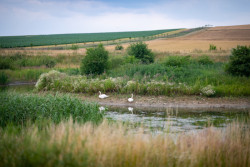 Nadace Partnerství zahájila přihlašování do pátého ročníku soutěže Adapterra Awards
