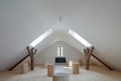 Rekonstrukce hostince Na Lisu v Brzánkách, Jan Veisser: Zaoblené podkroví je ponecháno jako otevřený prostor vhodný k přenocování většího počtu přátel nebo třeba ke cvičení jógy