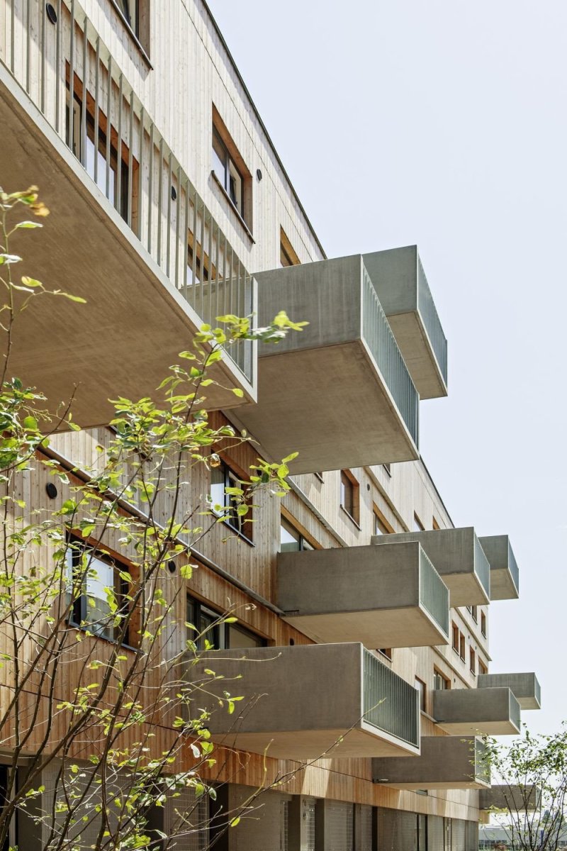 Seestadt Aspern, bytový komplex D12, Querkraft