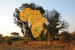 Studenti stavební fakulty ČVUT se podílejí na stavbě školy v Zambii