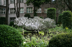 Subtile, Federico Díaz,