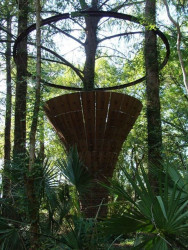 Park soch v Austinu - foto