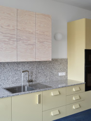 Kuchyně. Obklad a deska jsou z žuly. (Byt na rohu; Prokop Hartl)