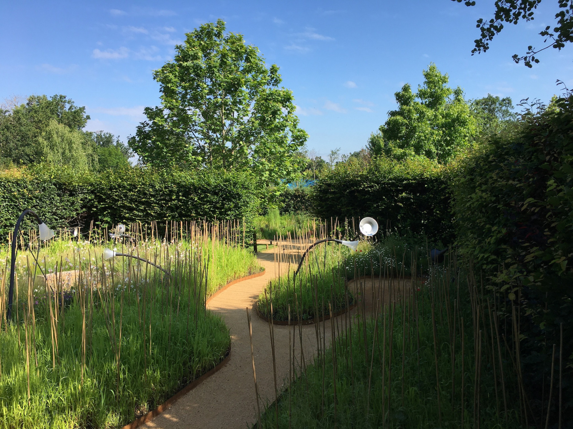 Zahrada sdíleného vědomí od studentů Fakulty architektury ČVUT. Foto: Tereza Havránková