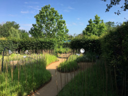 Zahrada sdíleného vědomí od studentů Fakulty architektury ČVUT. Foto: Tereza Havránková