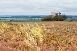 Útulna, Jan Tyrpekl