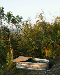 Schladit se můžete v ledové vaně v zahradě.