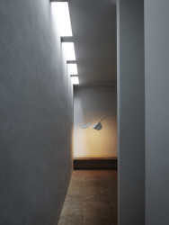 Tvar připomíná kvetoucí větev mandloně. (Závěsné svítidlo Almendra od Patricie Urquioly)