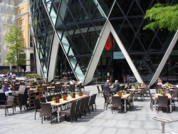 Okurka a spol. - foto