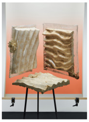 Ateliér architektury III - Myceelab