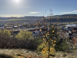 Do 30. srpna 2024 mohou ateliéry posílat své návrhy do krajinářsko-architektonické soutěže na návrh Městské hory v Berouně.