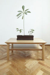 henkai architekti, byt pana doktora v Opavě - foto