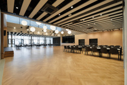 Kulturní dům v Letohradě; architekti.in