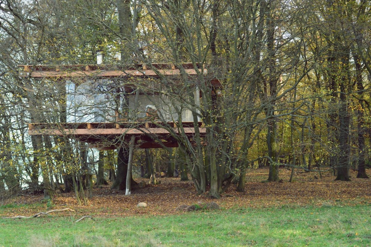 Tree House, Jan Tyrpekl