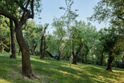 Svažitý terén nabízí gradující dojmy. (Obnova Riegrových sadů, Matouš Jebavý)