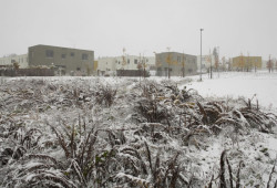 RKAW, obytný soubor Slivenec, foto