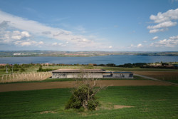 Vinařství Přátelé Pavlova od Ateliéru Štěpán