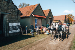 Festival nabízí pestrý program včetně projížděk v kočáře taženém koňmi.