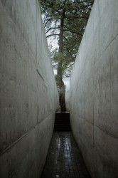 Rodinný dům v Mexiku od HW Studia