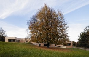 Ačkoliv je školka dvoupodlažní, architekti dokázali vhodně využít přirozeného terénního zlomu a rozčlenili stavbu tak, aby třídy zůstaly „při zemi“. (Mateřská škola ve Fulneku od XTOPIX)