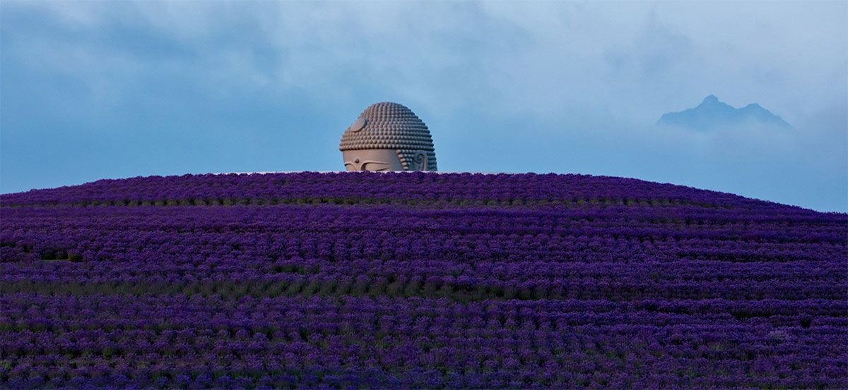 Buddhův kopec, Tadao Ando