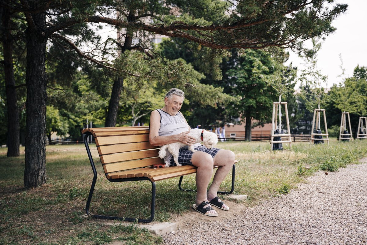 Lavička Iconi