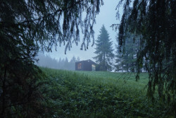 Ark-Shelter, Michiel De Backer, Martin Mikovčák