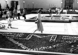 Úprava okolí Malostranské