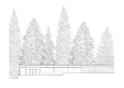 Řez podélný (Zázemí Lesního koupaliště, Mjölk architekti, Marie Vondráková)