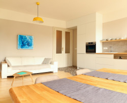 Rekonstrukce bytu v Brně, Archanti.