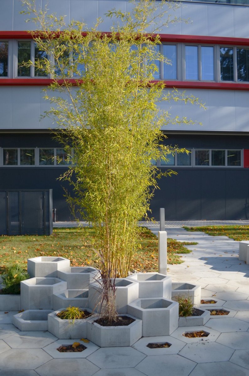 Park společnosti SVCS Process Inovation ve Valašském Meziříčí s mobiliářem H-E-X od PRESBETON, Next Level Studio/ Michal Kutálek.