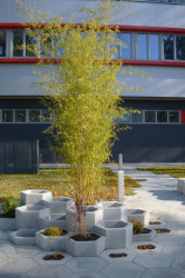 Park společnosti SVCS Process Inovation ve Valašském Meziříčí s mobiliářem H-E-X od PRESBETON, Next Level Studio/ Michal Kutálek.