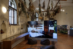 Jedním z nabízených programů je nová expozice bylinkářství a Českého lesa.