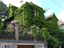 Josef Hoffmann, Spitzer Haus – foto