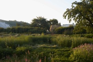 Nový zahradní domek Garden House od Tsuyoshi Tane ve Vitra Campus je postavený z udržitelných materiálů