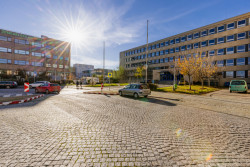 Letenský muzejní distrikt, Institut plánování a rozvoje hl. m. Prahy (IPR).