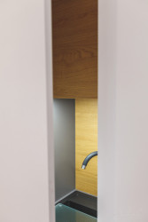 Smart byty, Peter Fritsch