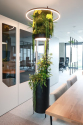 Jungle Raketa kombinuje živé rostliny, stabilizovanou zeleň a mech ve výrazné prostorové kompozici.