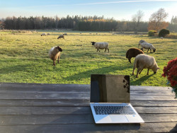 Pavla Melková vede MCA atelier spolu s Miroslavem Cikánem