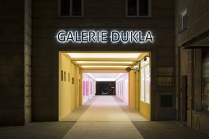 Výstava Petra Duba