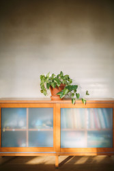 Omítky z hlíny jsou ekologické, difuzně otevřené, do jisté míry umí pracovat s vlhkostí a ozonem v interiéru.