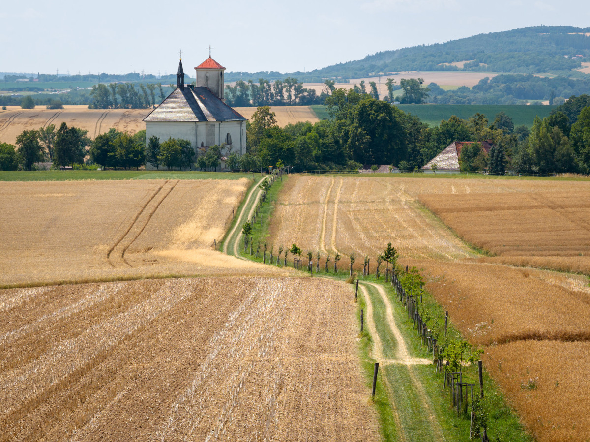 Krajina – Zelené Kujavy: cesty, aleje a tůně