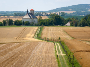 Krajina – Zelené Kujavy: cesty, aleje a tůně