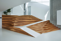 Villa Sophia, COLL COLL