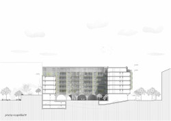 Bytový dům v Karlíně, řezopohled, Barbora Červeňová