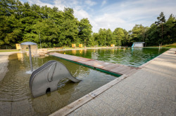 Původní modrý chlorovaný obdélník nahradilo přírodní koupaliště.