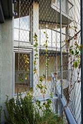 badia berger architectes, Flat Copper – foto