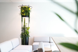 Jungle Raketa v sobě obsahuje integrované LED osvětlení, které podporuje růst rostlin a zároveň modulárně zvýrazňuje reliéf a hloubku kompozice.