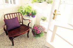 studio29, Barevný byt na Žižkově – foto